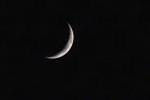 DSC09856pcgh.jpg
