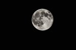 DSC09318_pcgh_1.jpg