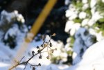 DSC06138_900.jpg