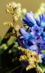 DSC_1164.jpg