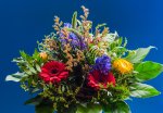 DSC_1168.jpg
