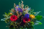 DSC_1172.jpg