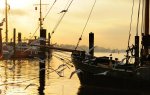DSC_0918.jpg