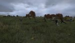 DayZ 2014-02-22 01-32-56-426.jpg