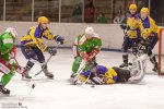 Harzer Falken - Aderndorfer EC-6874.jpg