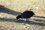 IMG_0253.JPG