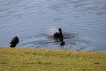 IMG_0249.jpg