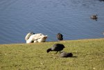 IMG_0256.JPG
