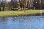 IMG_0241.JPG
