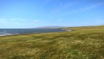 DayZ 2014-03-01 04-44-01-318.jpg