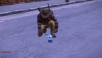 DayZ 2014-03-04 20-00-23-097.jpg