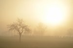 Nebel 04.jpg