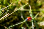 IMG_3247.jpg
