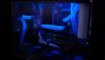 DSC03183.jpg