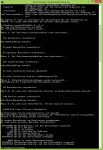 chkdsk bericht.png