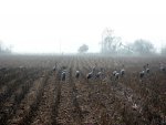 IMG_3113.jpg