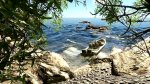 134910-crysis_3.jpg