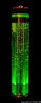 DSC02646.jpg