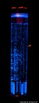 DSC02639.jpg