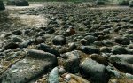 Crysis-Textures-23.jpg