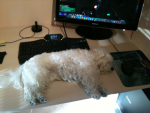 image-1039308146.png