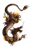 4b09202485aa5,Drache-.jpg