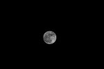 IMG_5697.jpg