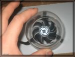 Compressed_0323.jpg