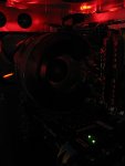 IMG_5856.JPG