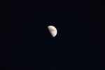 IMG_5160.JPG