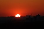 IMG_5149.JPG