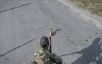 DayZ_2014_02_23_12_43_36_517.jpg