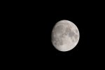 DSC_4150.jpg