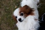 IMG_2541.jpg