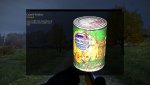 DayZ 2014-03-19 01-59-08-444.jpg
