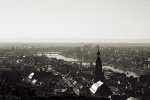 IMG_3181.jpg