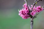 IMG_4041.jpg