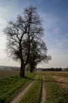 DSC03758.jpg