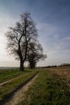 DSC03763.jpg