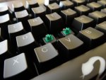 shine3_mxgreen_06.jpg