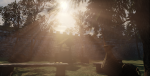 screen_ (5).png