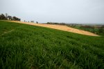 DSC03983-Bearbeitet.jpg