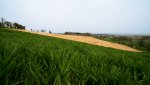 DSC03992-Bearbeitet-Bearbeitet.jpg