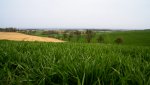 DSC04023-Bearbeitet.jpg
