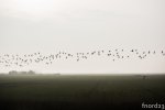 DSC_5340.jpg