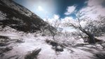 jc3.jpg