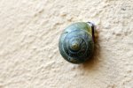 Test (5)_1200x800.jpg