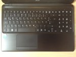 acer2.jpg