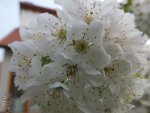 DSCF1712.jpg