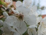 DSCF1722.jpg